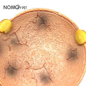 Noypet אביזרים זוחלים terrarium נוף פאה סביב קערה מזון מים קערה מזון מים לקערה - Product Image 2