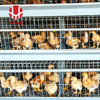 Cage à poulettes de type A galvanisée à chaud, 3, 4 ou 5 niveaux, pour l'élevage de poussins, ferme avicole commerciale, certifiée ISO 9001