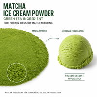 Poudre de crème glacée au matcha, ingrédient au thé vert pour la fabrication de desserts glacés