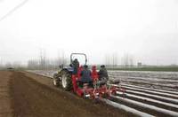 Nouvelle Planteuse de Pommes de Terre à 2 Rangs HONGZHU Shandong de Haute Qualité, Machine de Semis Fiable, Garantie 1 An, Haute Productivité