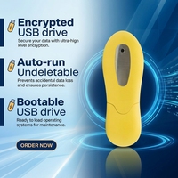 Flash Drive USB 2.0 Bentuk Kacang Plastik Custom 32GB/64GB Terenkripsi Logo Personal Hadiah Lucu Pendrive dengan Garansi 3 Tahun