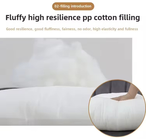 <span class=keywords><strong>Coussin</strong></span> de canapé en polyester personnalisé imprimé par sublimation, moderne, brodé, 40x40cm, blanc, pour hôtel et maison, vente en gros - Product Image 5