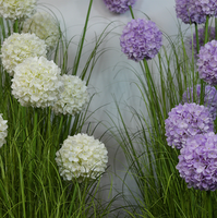 Bunga Hydrangea Buatan Preserved Real Touch, Batang Tinggi, Tahan UV, Tahan Api, Mirip Bunga Asli
