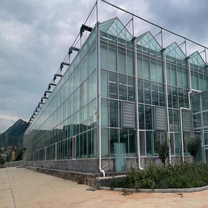 Serres commerciales multi-spans de type Venlo avec structure en acier et couverture en film, grande taille, marque Skyplant, modèle SP-V-G, d'<span class=keywords><strong>occasion</strong></span> - Product Image 3