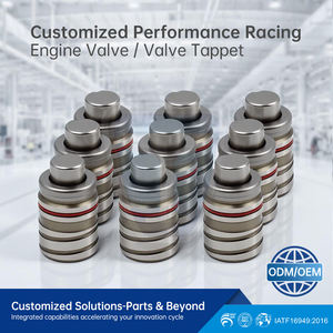 TP20 F8B512100B Motoronderdelen Hoge Kwaliteit Hydraulische Klepveren & Tappets voor Hydraulische 24610-22600 VL146 JFY112100 - Product Image 6