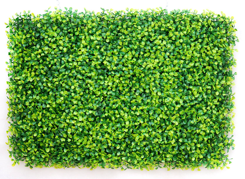 LSBMU8 vert