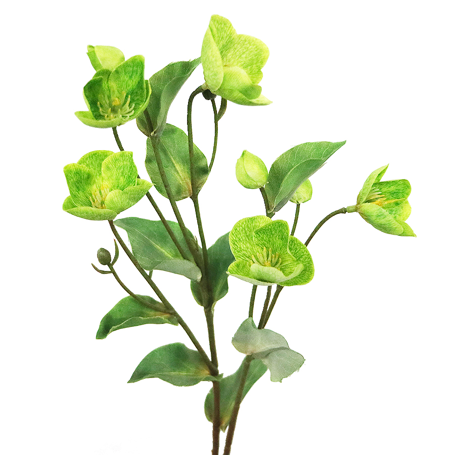 Vert