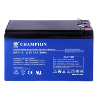 Baterai AGM CHAMPION Baru 12V 7AH 100AH 200AH 250AH VRLA Aki Timbal Asam untuk Penyimpanan UPS dan Peralatan