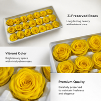 Fourniture d'usine : Têtes de roses préservées de 2 à 3 cm, 21 pièces, matériel floral DIY pour décorations de mariage et de maison, nouveautés pour arches de mariage