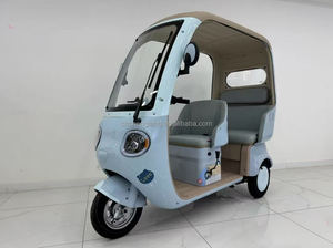 Triciclo Elettrico <span class=keywords><strong>a</strong></span> <span class=keywords><strong>3</strong></span> <span class=keywords><strong>Ruote</strong></span> da 60v per <span class=keywords><strong>3</strong></span> Persone con Carrozzeria Aperta Veicolo per Trasporto Passeggeri e Merci per Uso Domestico Certificato EEC - Product Image 3