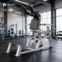 Machine de squat Hack à charge de plaques en acier robuste pour entraînement des fessiers, équipement de fitness professionnel pour salle de sport