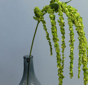 Fiori Artificiali Decorativi <span class=keywords><strong>di</strong></span> Amaranto Verde in <span class=keywords><strong>Plastica</strong></span> <span class=keywords><strong>di</strong></span> Alta Qualità Effetto Real Touch - Product Image 3
