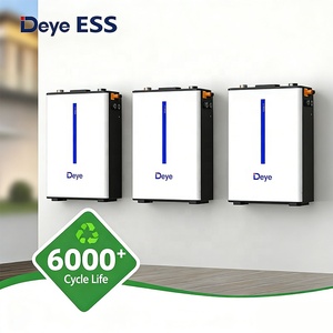 Batterie lithium LiFePO4 Deye 6,14 kWh 51,2 V à montage mural, cycle profond, max. 32 unités en parallèle pour système solaire domestique - Product Image 3
