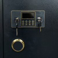 Coffre-fort de luxe compact avec serrure électronique et à clé, en acier, pour bijoux et argent, idéal pour le bureau ou la maison - WeiChi