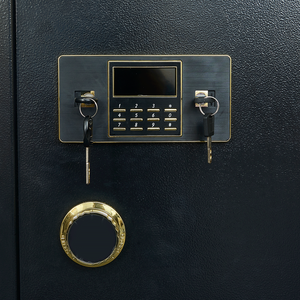 Coffre-fort de luxe compact avec serrure électronique et à clé, en acier, pour bijoux et argent, idéal pour le bureau ou la maison - WeiChi - Product Image 3