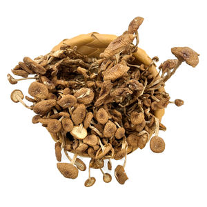 Vente en gros d'usine de champignons séchés Agrocybe <span class=keywords><strong>aegerita</strong></span> pour manger des champignons d'arbre à thé séchés aliments biologiques emballage personnalisé - Product Image 4