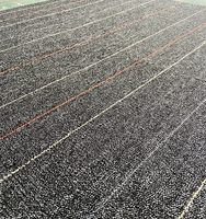 Moquette modulaire carrée commerciale en polypropylène à boucles, résistante aux taches, adaptée aux animaux domestiques, pour le Nouvel An chinois