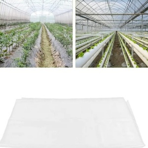 Invernaderos de túnel de polietileno ecológicos en venta, invernadero multiterminales con estructura y película plástica transparente para uso agrícola de hortalizas - Product Image 2