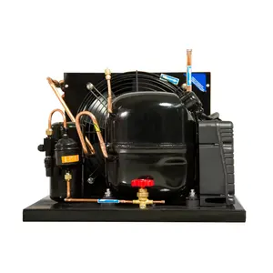 ARTECO 1HP 110V 50Hz/60Hz Compresor Hermético Condensador de Cobre Unidad Condensadora de Refrigeración Refrigerada por Aire