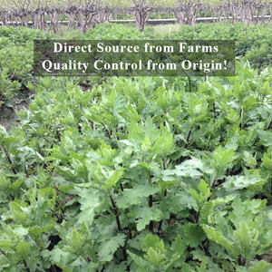 Hojas de Feverfew, hierba de migraña seca <span class=keywords><strong>Natural</strong></span>, extracto <span class=keywords><strong>Casero</strong></span>/infusión/champú/jabón, bolsitas de té personalizadas OEM disponibles - Product Image 5