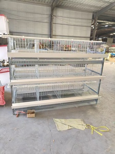 Jaula Automática Tipo H de 3 Niveles y 4 Puertas para 96 Aves, 1880x1100x1730mm, Equipo de Avicultura Galvanizado con Corte Láser - Product Image 3