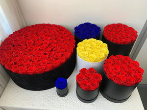 Gedroogde Bewaarde Bloemen Mix Eeuwige Eeuwigheid Oneindigheid Voor Altijd Bewaard Gebleven Bloem Vierkant Eeuwige Bloembak Lot - Product Image 3