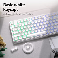 IP98 Wired RGB Membrane Mechanical Feel Keyboard Anti-Ghosting 19-Keys USB Interface Transparent Keycaps OEM Profile
