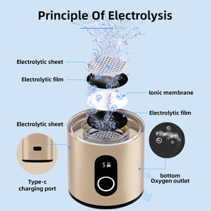 המוכר ביותר הסיטונאי לוגו מותאם אישית susb 230 מ ל 6000pb spe pe pm electrolysis נייד עבור נסיעות כושר משק בית - Product Image 5