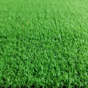 2021帕高尔夫将绿色，高品质迷你高尔夫人造草
