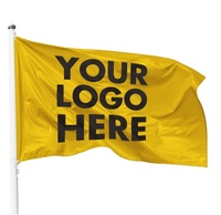 Drapeaux en Nylon Bon Marché Personnalisés, Imprimés de Haute Qualité en Polyester 200D Toutes Tailles pour Campagnes Publicitaires avec Logo de Magasin