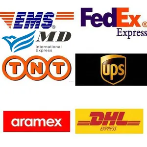 Safety And Fast DHL/UPS /FEDEX Express Shipping Cost From China To Usa With Door To Door