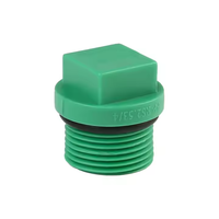 Embout de prise fileté mâle hexagonal avec filetage d'étanchéité pince de tuyau en plastique raccords PPR-1 FF 101FF capuchon d'extrémité de prise d'écrou Ppr