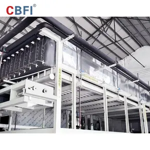 Machine de refroidissement directe industrielle de bloc de glace de CBFI à vendre