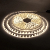 RGB S-förmiger LED-Streifen aus Kupfer mit 2835 Chips, Ra95 CRI 5000K Tageslicht, 60 LEDs/m für Landschaftsbeleuchtung