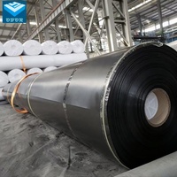 Vente en gros directe d'usine de géomembrane en HDPE pour l'aquaculture et l'élevage de crevettes