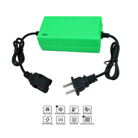 Chargeur de batterie au lithium 12V Chargeur de batterie LiFePO4 Tondeuse à gazon électrique Chargeur de batterie au plomb 12v 60 ampères