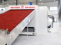 Nieuwe 10 Ton Capaciteit Droog Fruit Gaas Banddroger Dadelpalm Khajoor Kruidendroogmachine Groentedroogapparatuur
