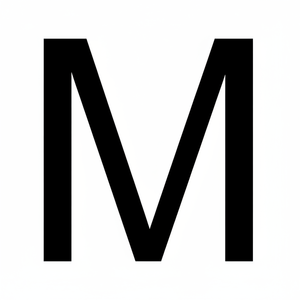 แผ่นป้ายทะเบียน 'M' กาวสีดำ20ซม. สำหรับรถจักรยานยนต์และเฟรม - Product Image 1