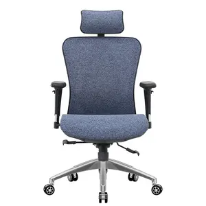 高背最佳人体工程学多功能任务Ergo网状行政椅，带高度可调腰部支撑