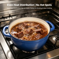 Cocotte en fonte émaillée antiadhésive, compatible gaz et induction, pour cuisson au four