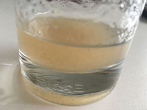 ผงเมล็ดไซเลียมออร์แกนิค - Product Image 3