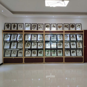 Titanium alloy glass <b>display</b> <b>cases</b> for jewelry, cosmetics, and gifts; glass shelves for supermarkets. - Product Image 2