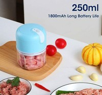 Fv09 Gratis Handheld 250Ml Cup Keuken Knoflook Vlees Plantaardige Batterij Aangedreven Usb Draadloze Mini Elektrische Voedsel Chopper