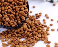 Machine d'extrusion pour la production de croquettes pour animaux de compagnie (aliments secs pour chats, aliments pour animaux, aliments pour poissons flottants ou coulants) et de croquettes pour chiens (aliments humides)