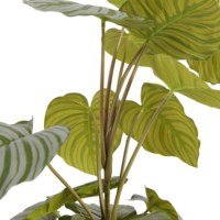 Tanaman buatan dekorasi rumah, tanaman dalam ruangan 35 inci orbifolia Calathea palsu untuk dekorasi rumah taman kantor