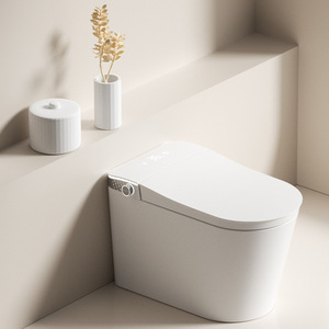 Inodoro Inteligente Taiyue Sanitary Ware, de Una Pieza, con Tapa Automática, para Hogar y Hotel - Product Image 1