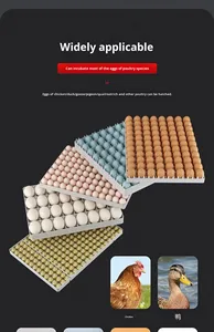 Интеллектуальное многофункциональное инкубационное оборудование нового поколения 88-5280 для выведения цыплят, инкубатор и выводилка для яиц - Product Image 5