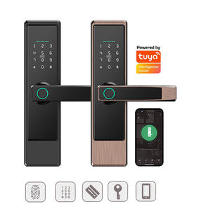 ANG Nouveau Style Sécurité Électronique Numérique Tuya Wifi Cerraduras Inteligente Serrures De Porte Intelligentes D'empreintes Digitales - Product Image 3