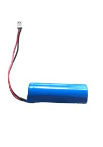 Siklus 22650 tersertifikasi ROHS/CE kinerja tinggi paket baterai LiFePO4 isi ulang 3.<span class=keywords><strong>2</strong></span> 2100 V 2000 mAh - Product Image 4
