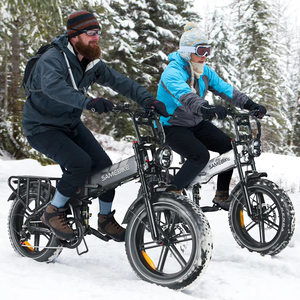 Vélo électrique pliable tout-terrain 20 pouces à gros pneus, moteur haute puissance 48V17AH, populaire en UE, modèle RS-A02 Plus - Product Image 2